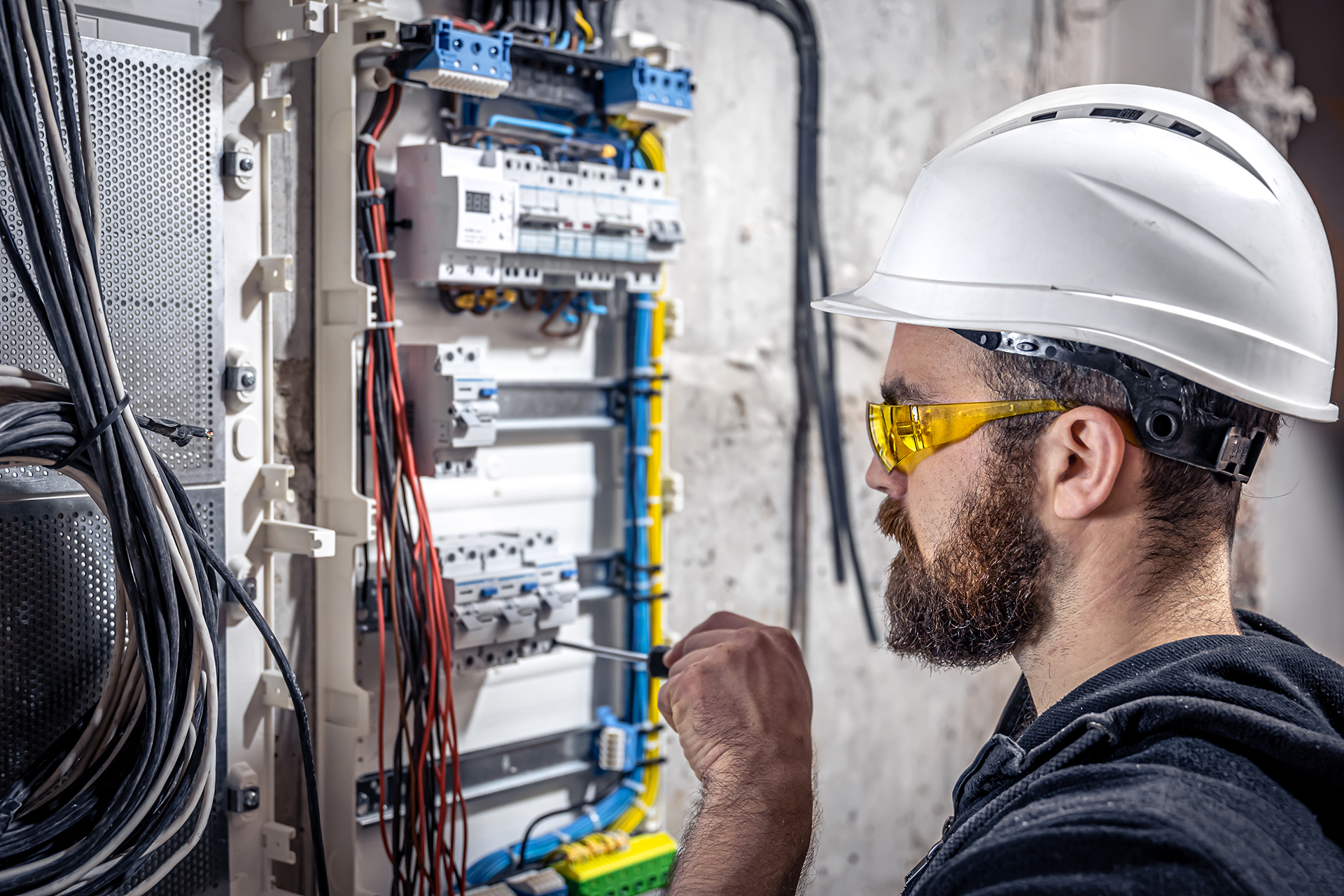 Elektriker - Award Siegel Zertifikat Champion Auszeichnung